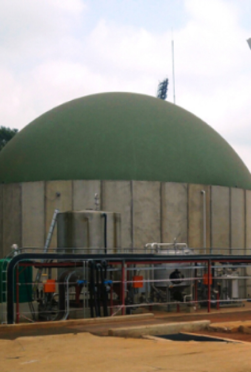 Biogas Consulting Services